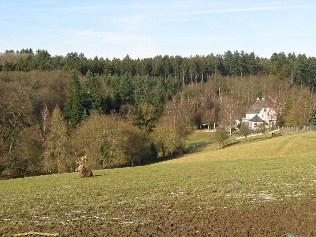 Waldhotel Forsthaus Remstecken Кобленц Экстерьер фото